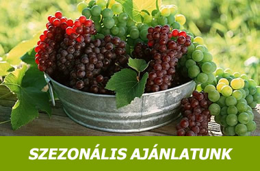 Szezonális ajánlatunk - csemege szőlő